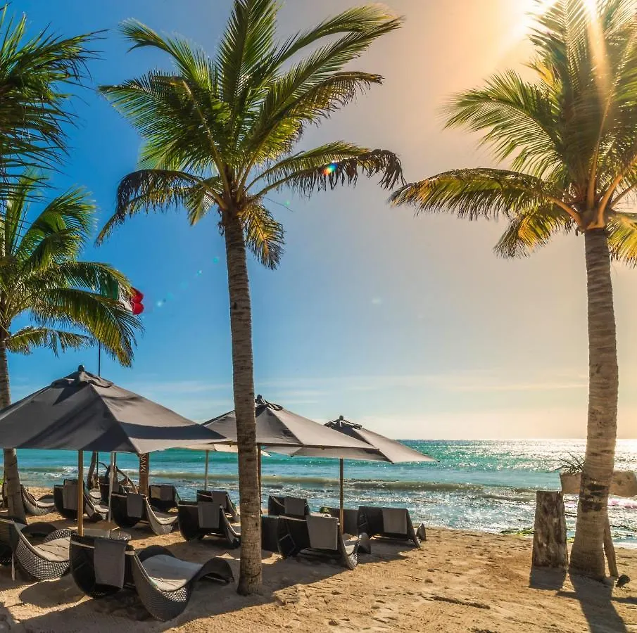 Mvngata Beach Hotel Playa del Carmen 5*,