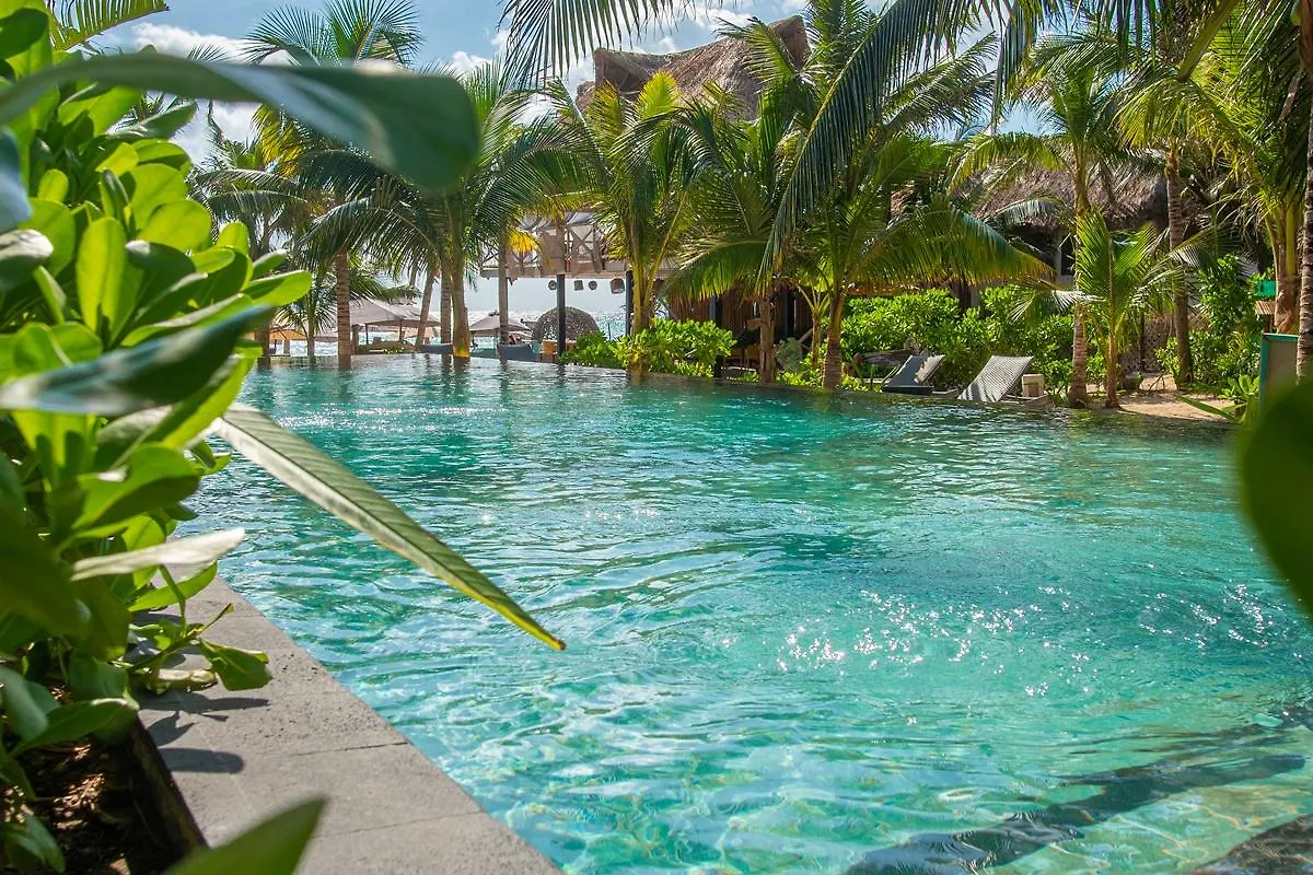 Mvngata Beach Hotel Playa del Carmen