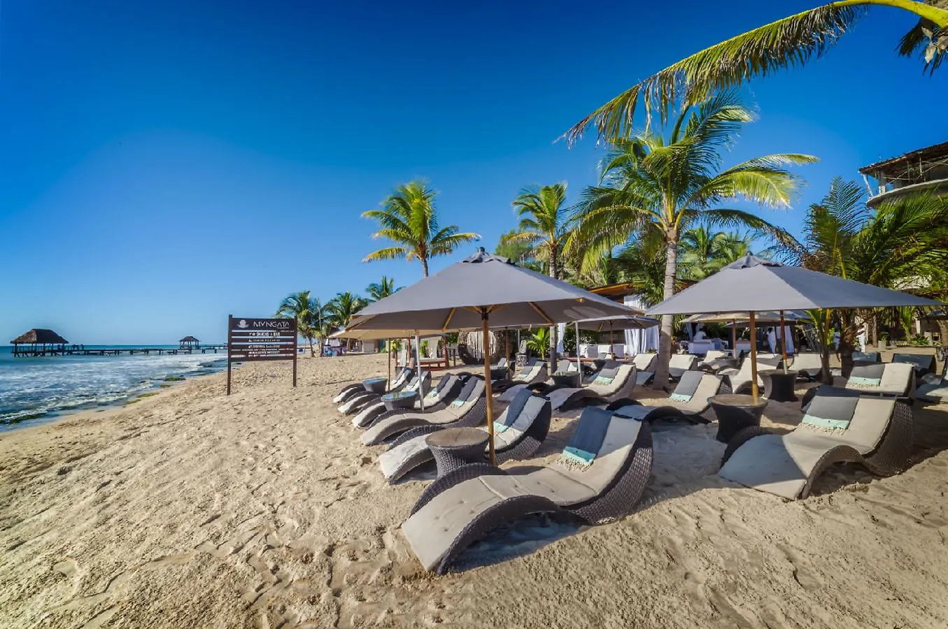 Mvngata Beach Hotel Playa del Carmen